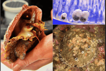 Screenshot 2025-04-17 at 1.37.01 PM